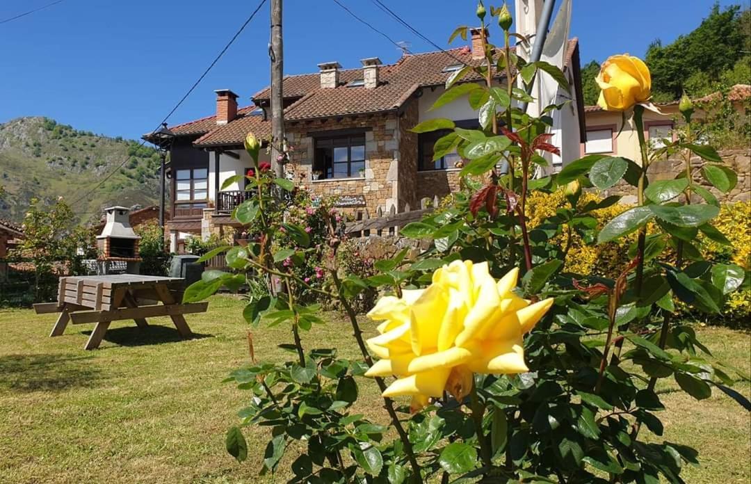 Apartamentos Rurales El Collain De Campiellos Eksteriør billede