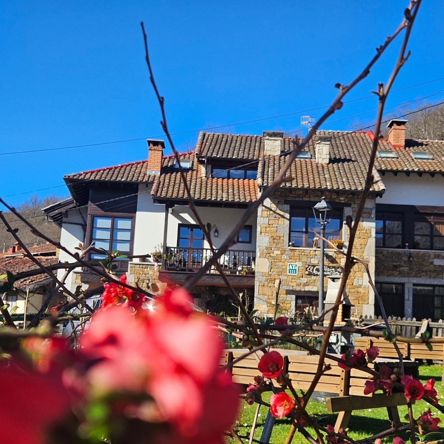 Apartamentos Rurales El Collain De Campiellos Eksteriør billede