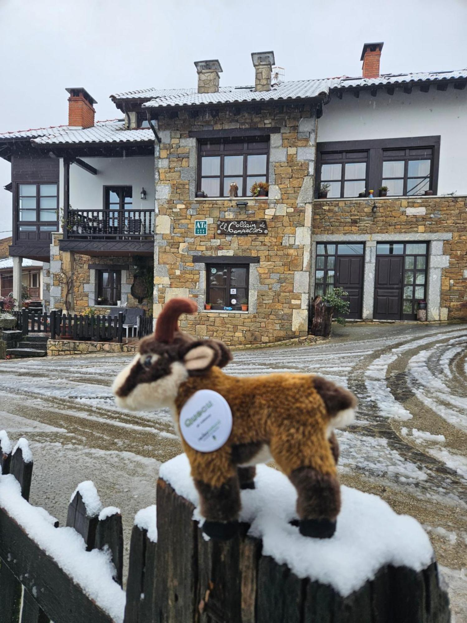 Apartamentos Rurales El Collain De Campiellos Eksteriør billede